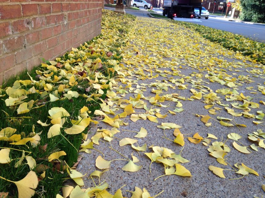 medical gym sidewalk