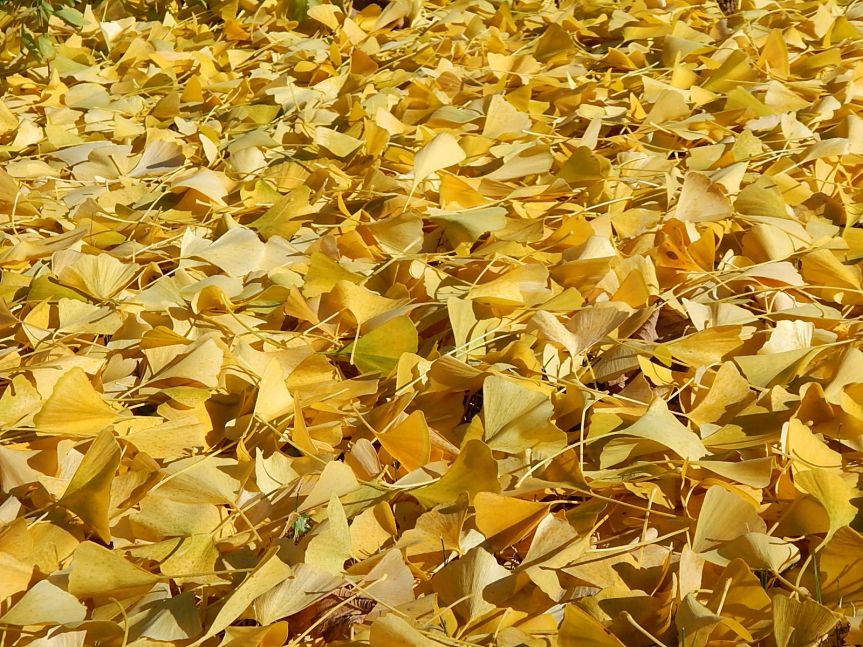 down the street and down on the street