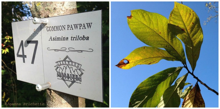 signage and exposure