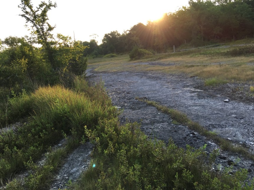 morning sun on shotgun glade