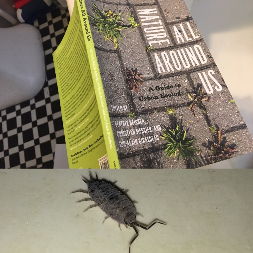 0daa91b3-aacf-4d17-a5f4-73156035aac4