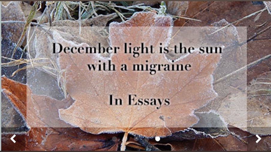 Winter Solstice image Brichetto