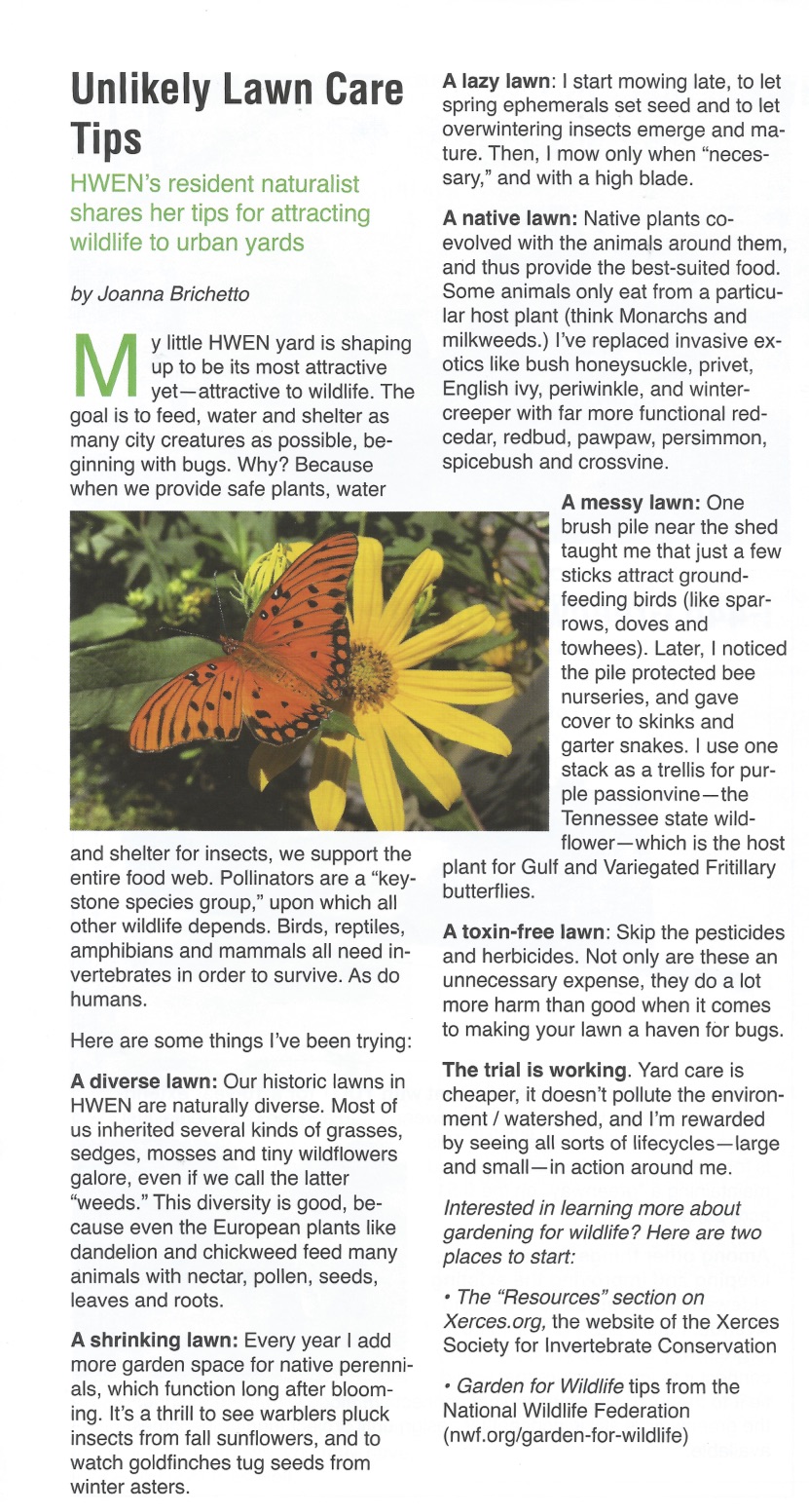 Unlikely Lawn Care Tips (cropped).jpg