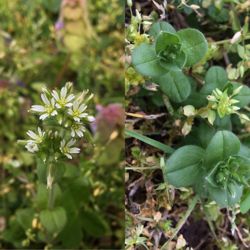 d48f0ea7-a21b-419d-a52f-e5137fc63589