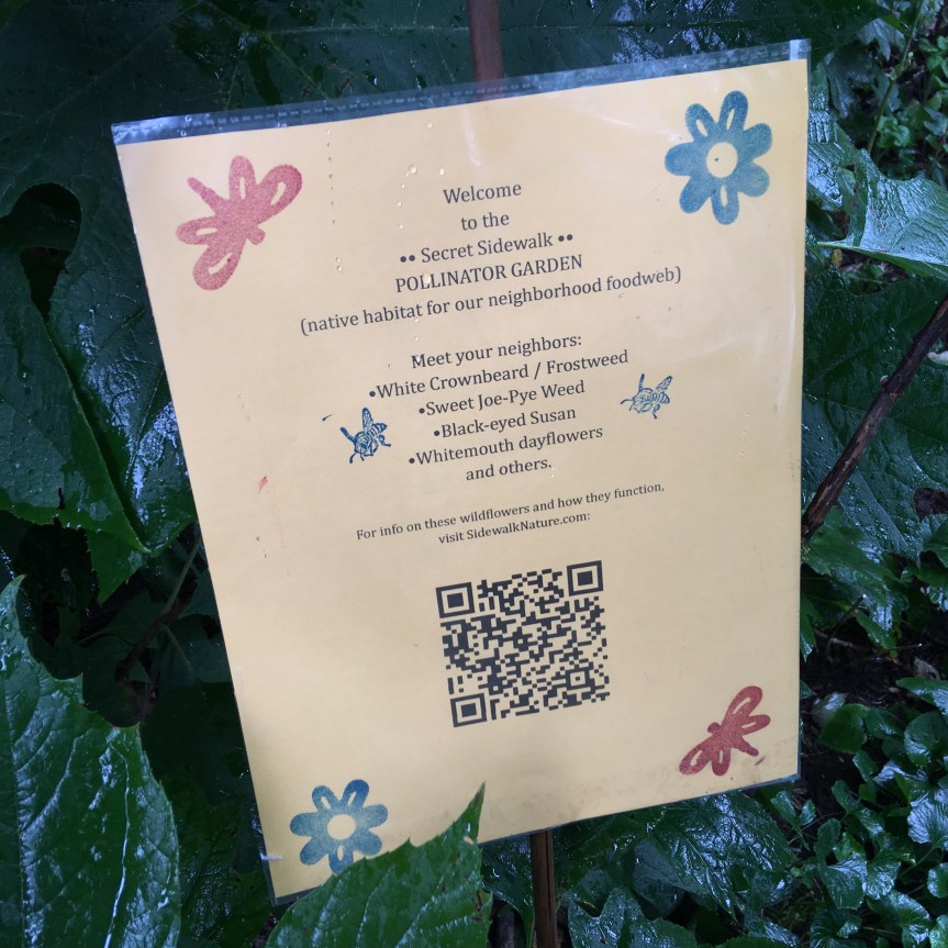 Secret Sidewalk Sign