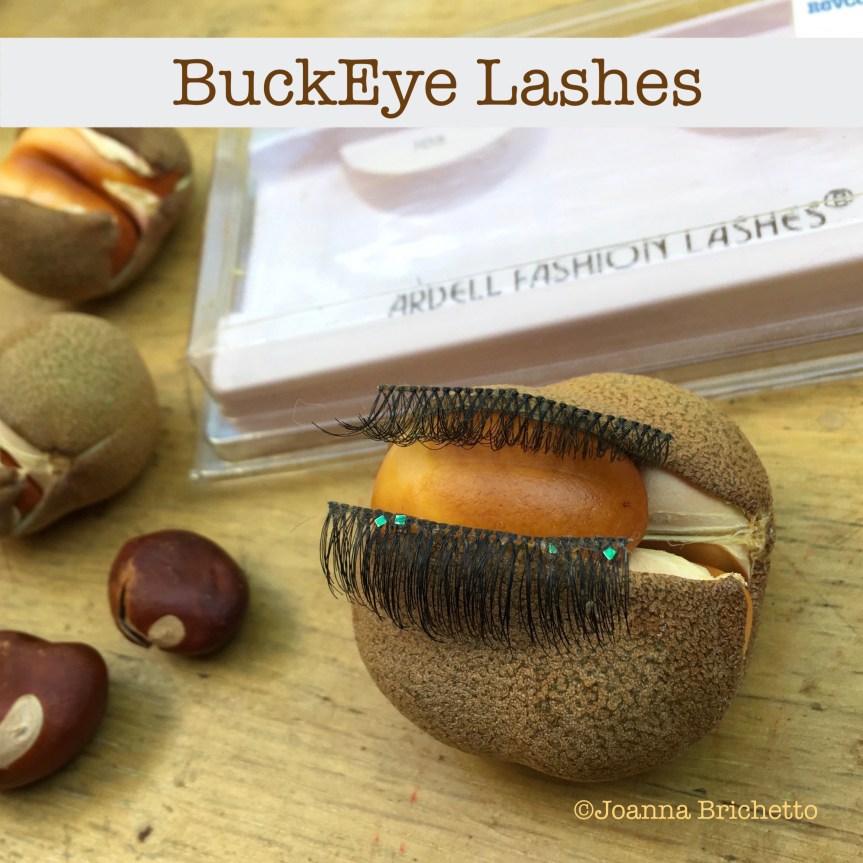Buckeye lashes