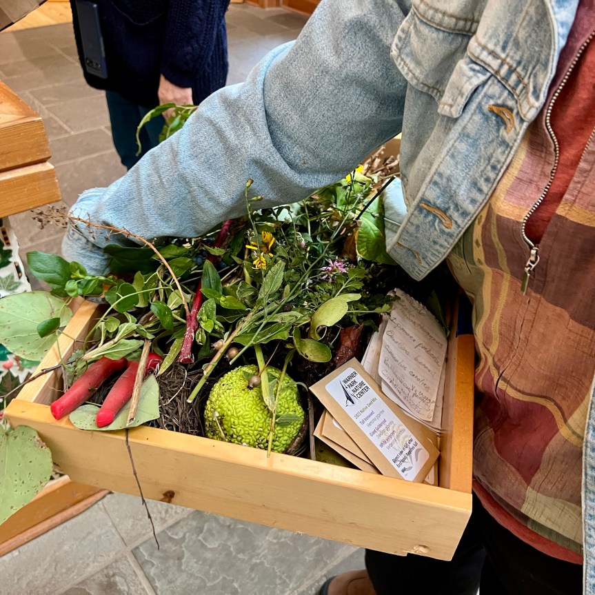 Nature Show ‘n’ Tell for&nbsp;Grown-ups