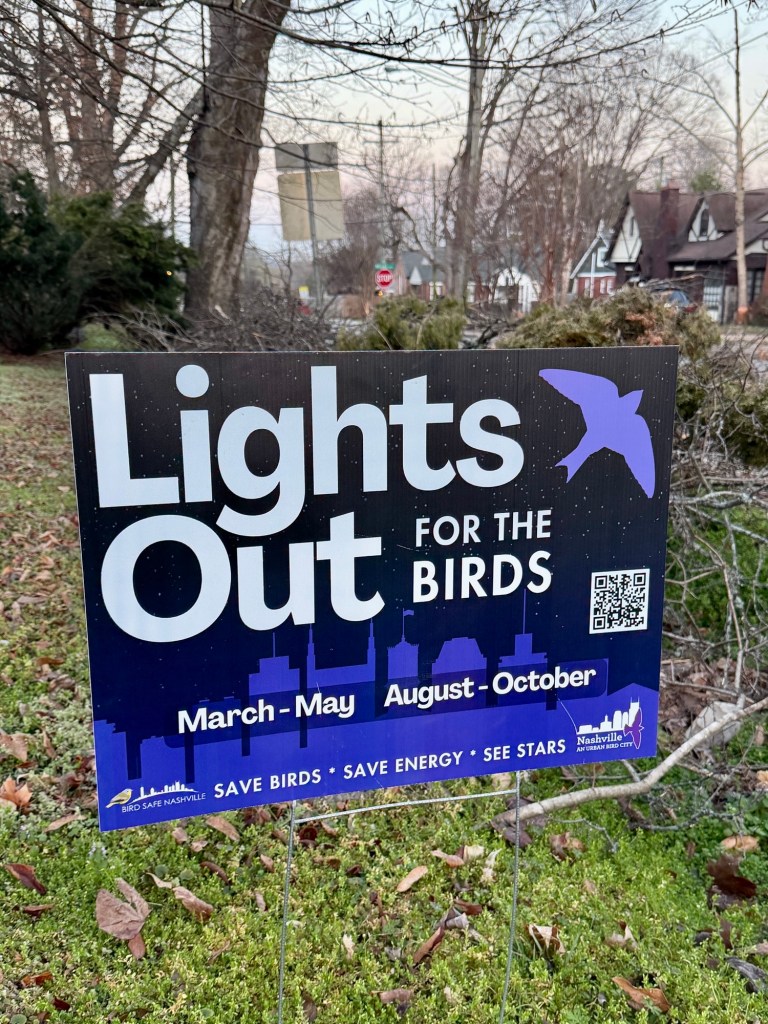 Lights Out for the birds (yard sign)
