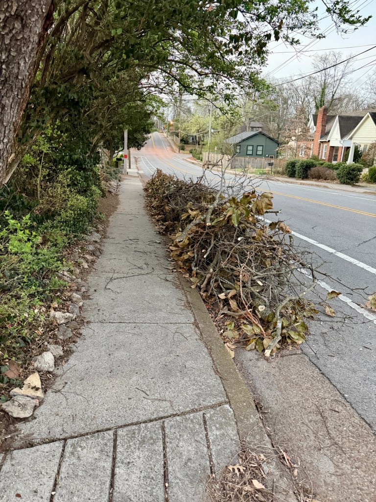 brushpile at the sidewalk